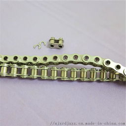 短節(jié)距精密滾子傳動(dòng)鏈與絲網(wǎng)輸送帶 現(xiàn)代工業(yè)傳輸?shù)目煽拷M合